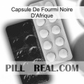 Africa Black Ant Capsule new14